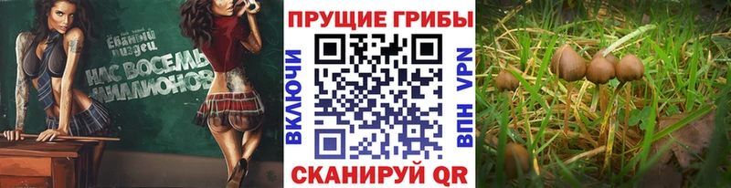 Галлюциногенные грибы Magic Shrooms  Мантурово 